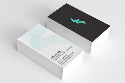 Portfolio Item 02